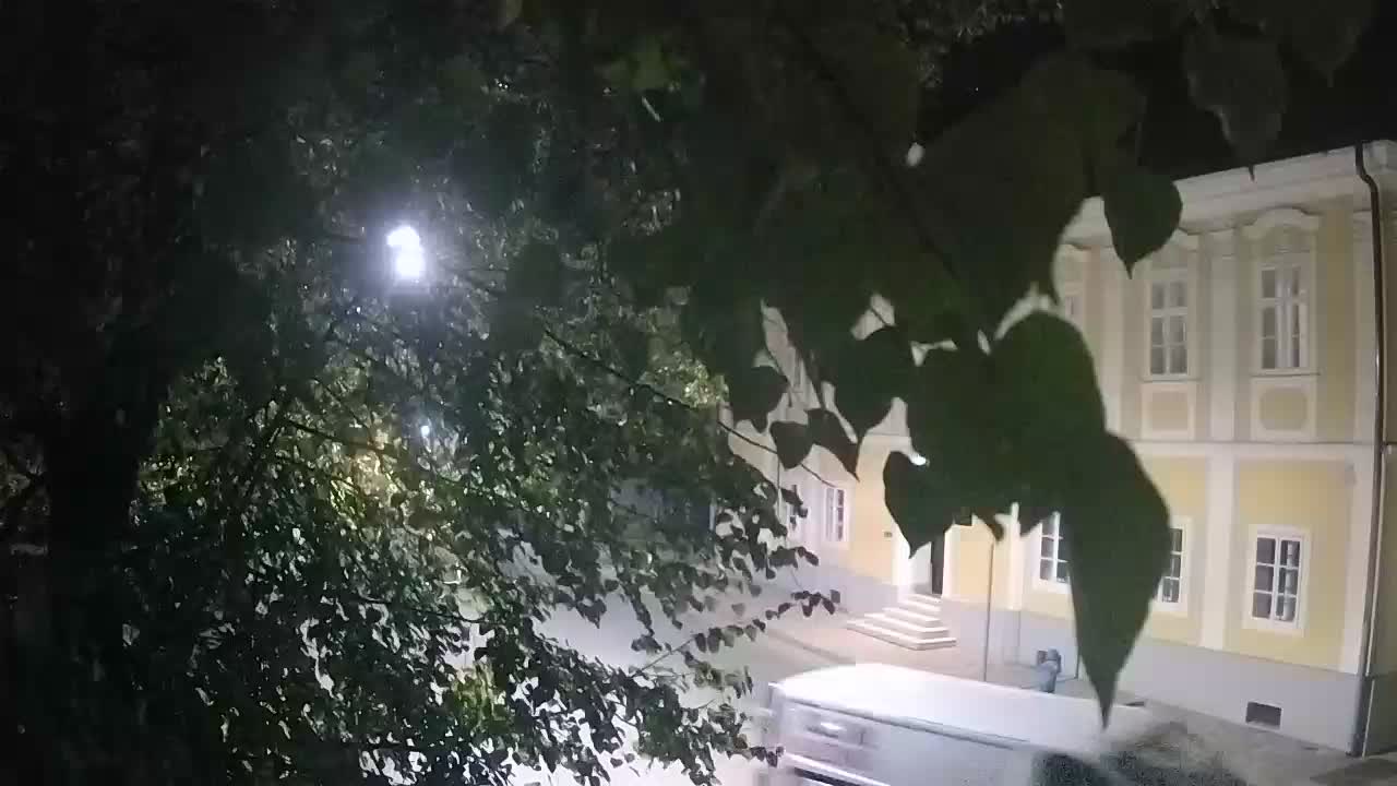 Webcam en direct du parc Petrinja – après le tremblement de terre