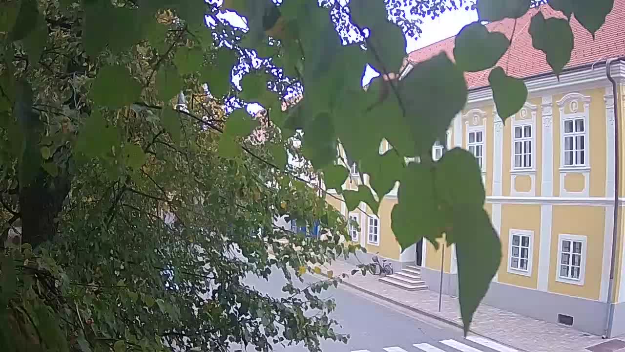 Live webcam parco Petrinja – dopo il terremoto