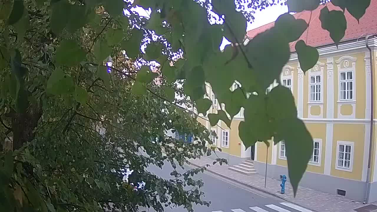 Web kamera uživo Petrinja centralni park – nakon potresa