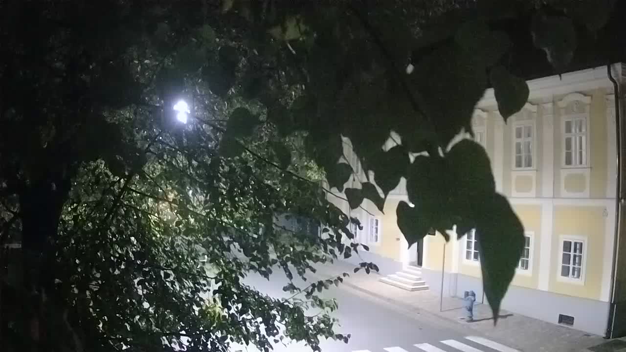 Web kamera uživo Petrinja centralni park – nakon potresa