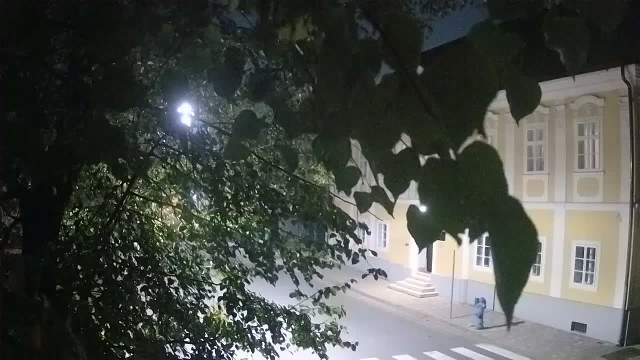 Live webcam parco Petrinja – dopo il terremoto