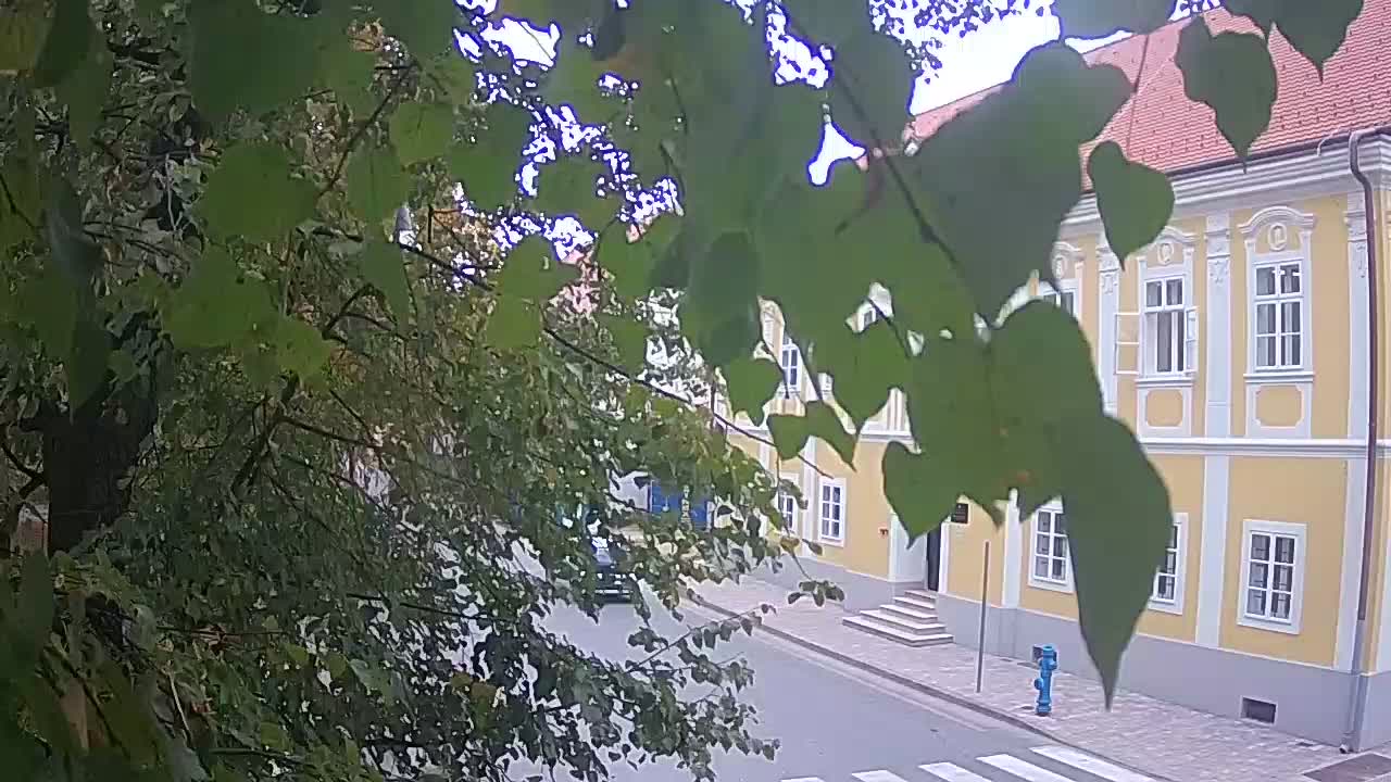 Webcam en vivo parque Petrinja – después del terremoto