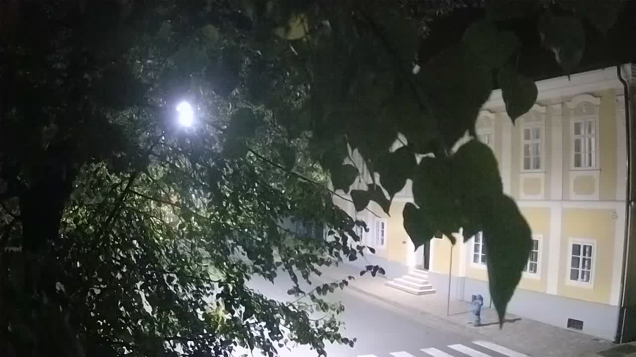 Spletna kamera v živo Petrinja centralni park – po potresu
