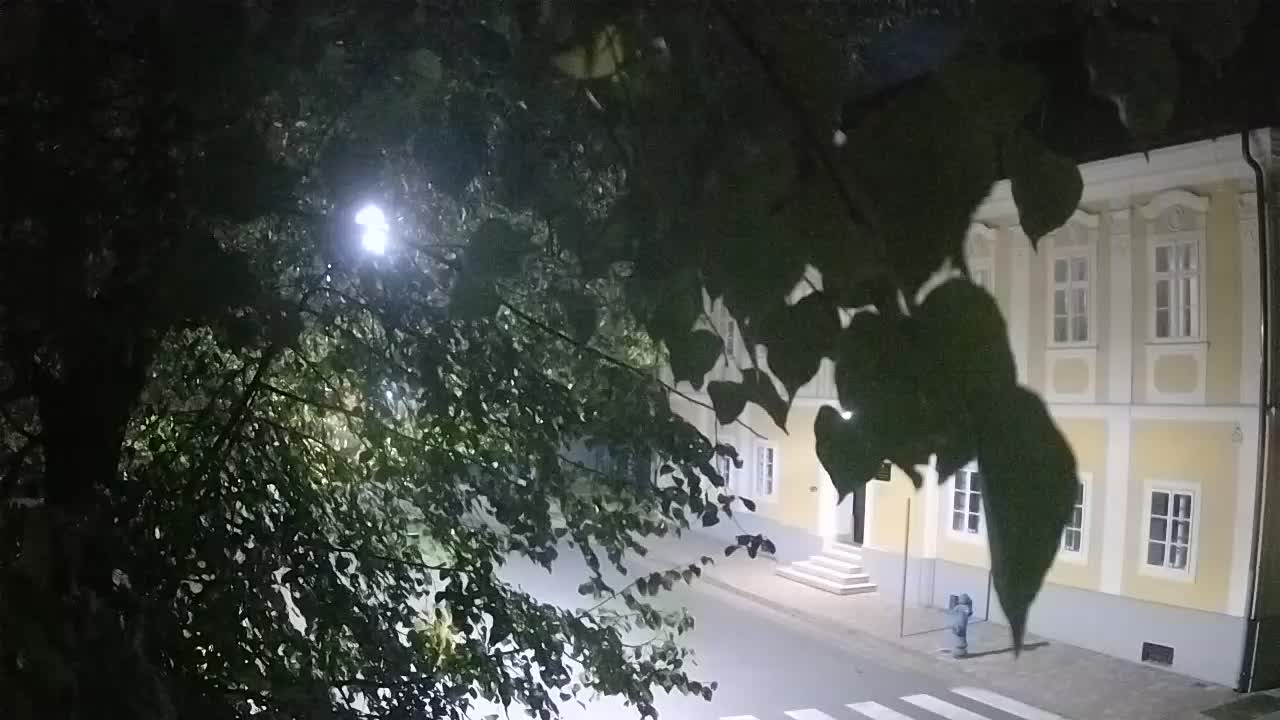 Spletna kamera v živo Petrinja centralni park – po potresu