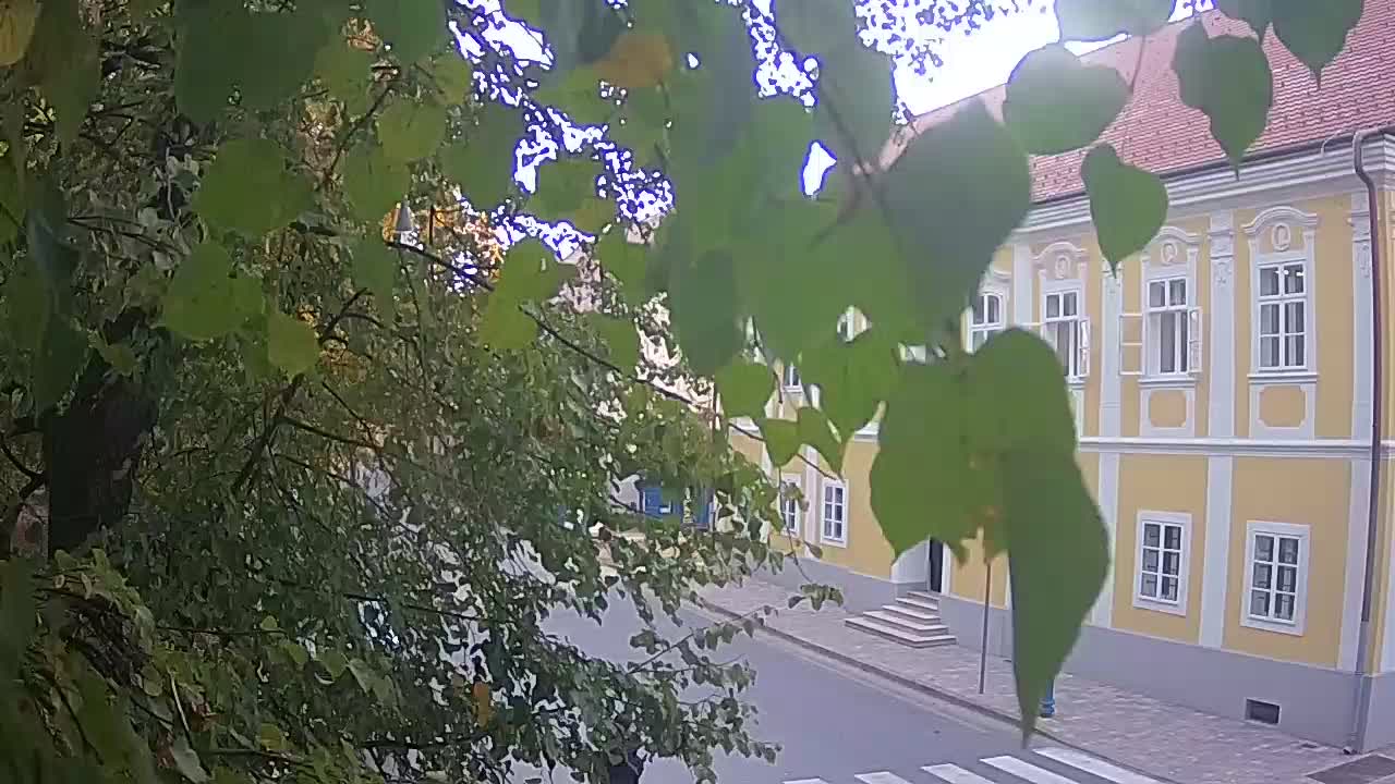 Live Webcam Petrinja Park – nach dem Erdbeben
