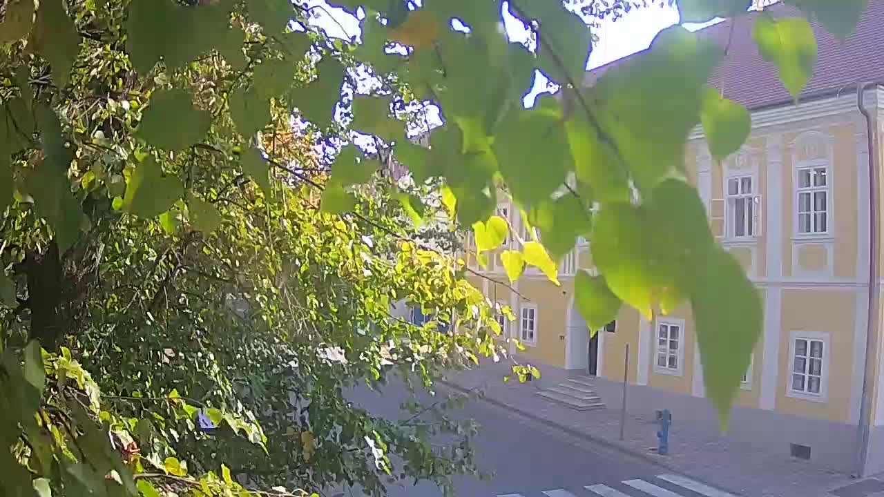 Webcam en vivo parque Petrinja – después del terremoto