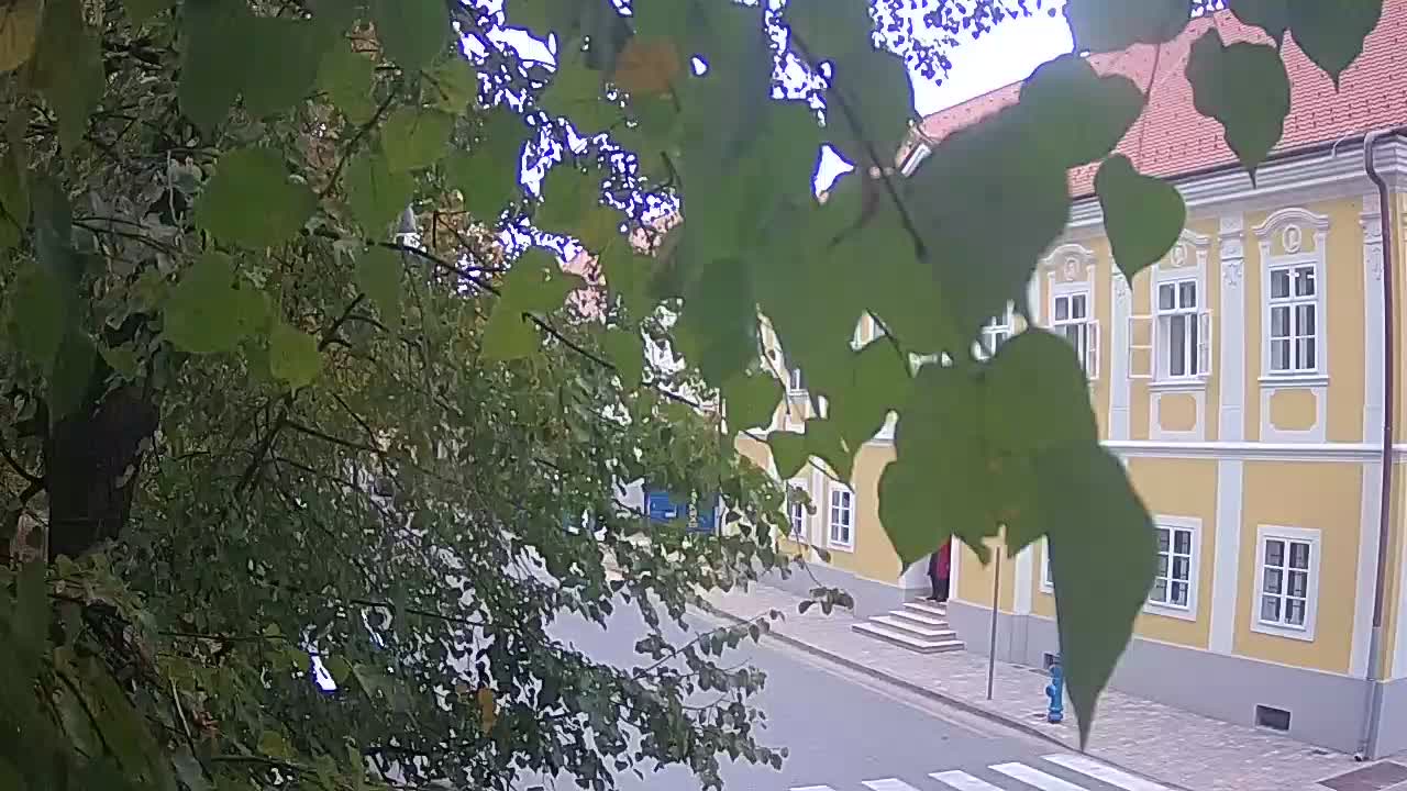 Live webcam Petrinja central park – after the earthquake