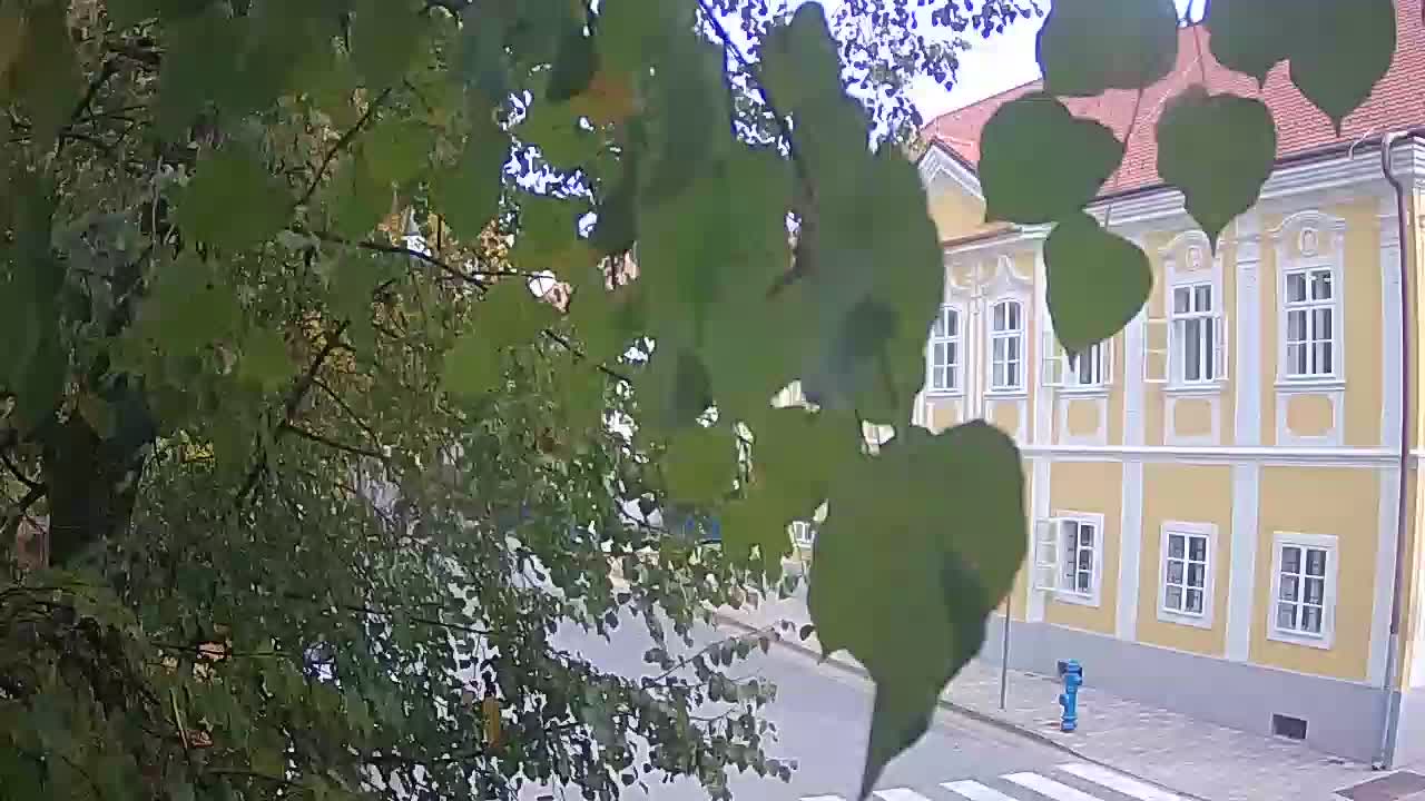 Webcam en direct du parc Petrinja – après le tremblement de terre