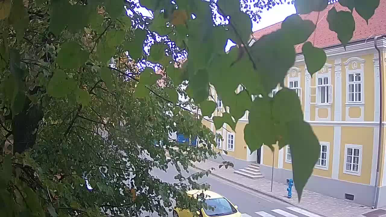 Live webcam Petrinja central park – after the earthquake