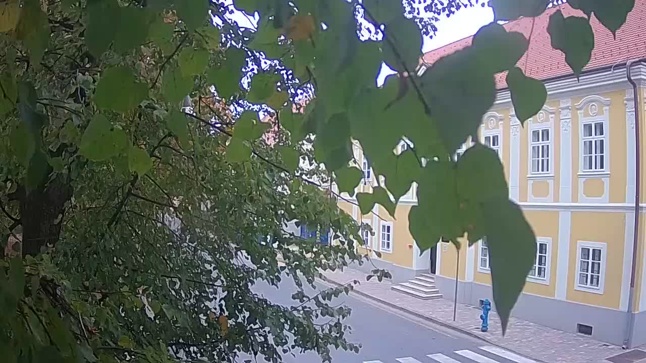 Webcam en direct du parc Petrinja – après le tremblement de terre