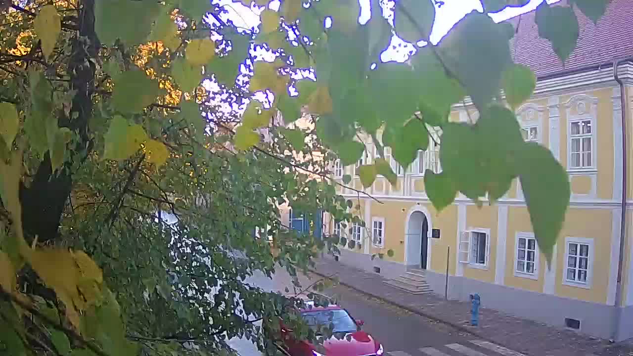 Spletna kamera v živo Petrinja centralni park – po potresu