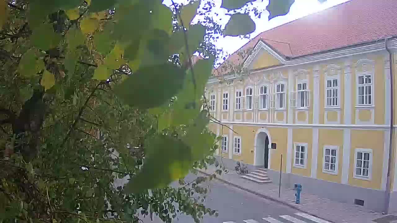Spletna kamera v živo Petrinja centralni park – po potresu