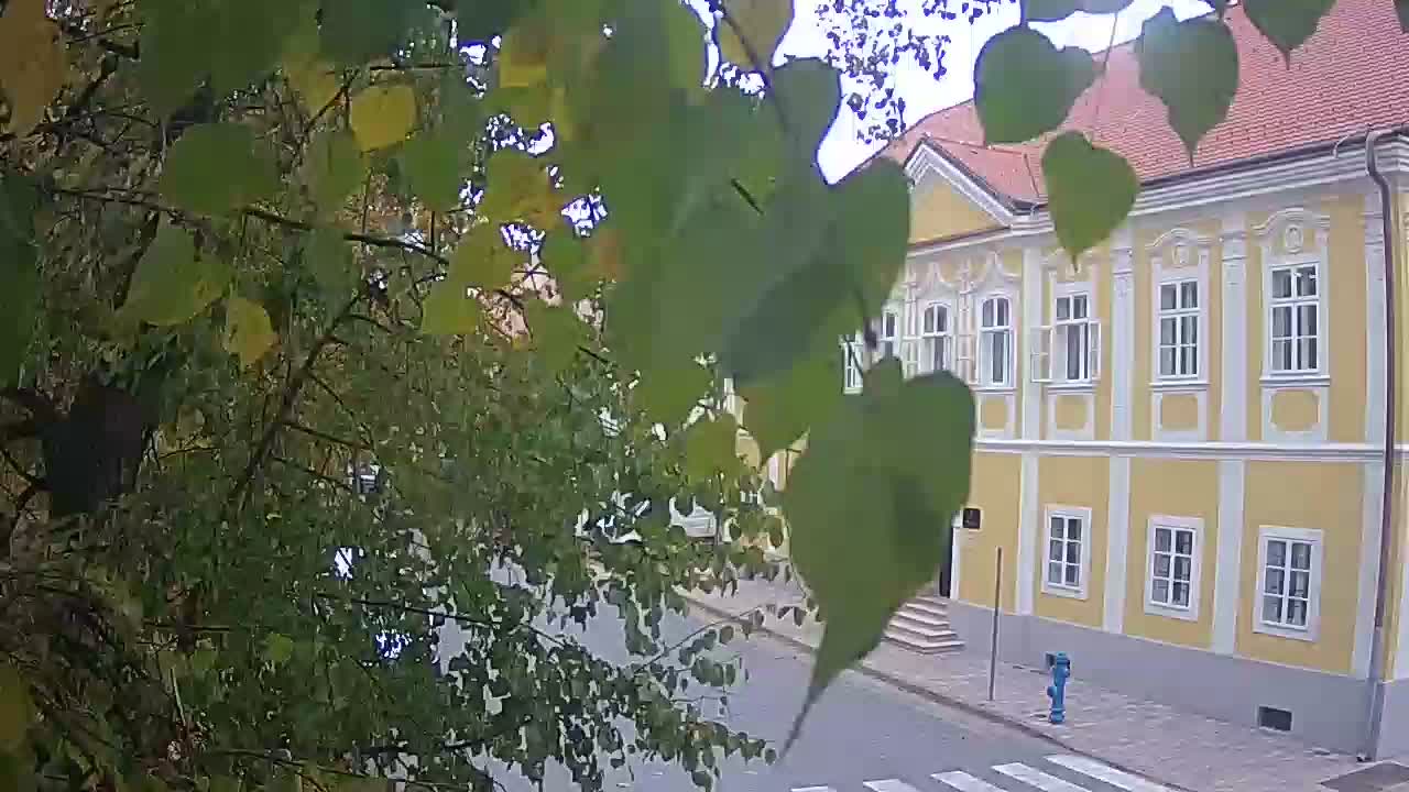 Webcam en vivo parque Petrinja – después del terremoto