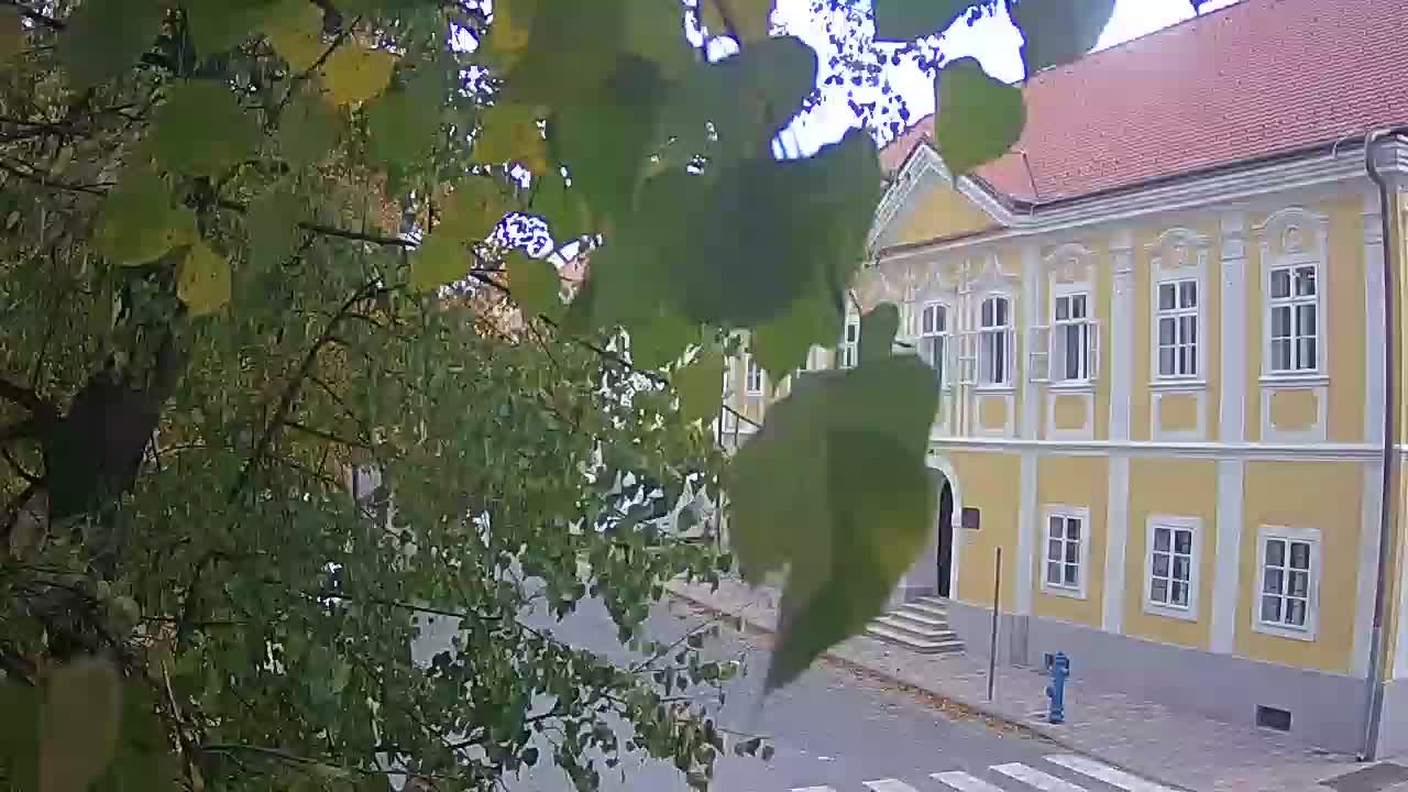 Spletna kamera v živo Petrinja centralni park – po potresu