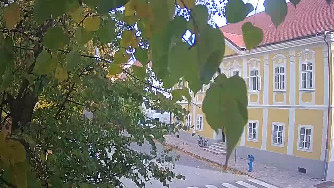 Webcam en vivo parque Petrinja – después del terremoto