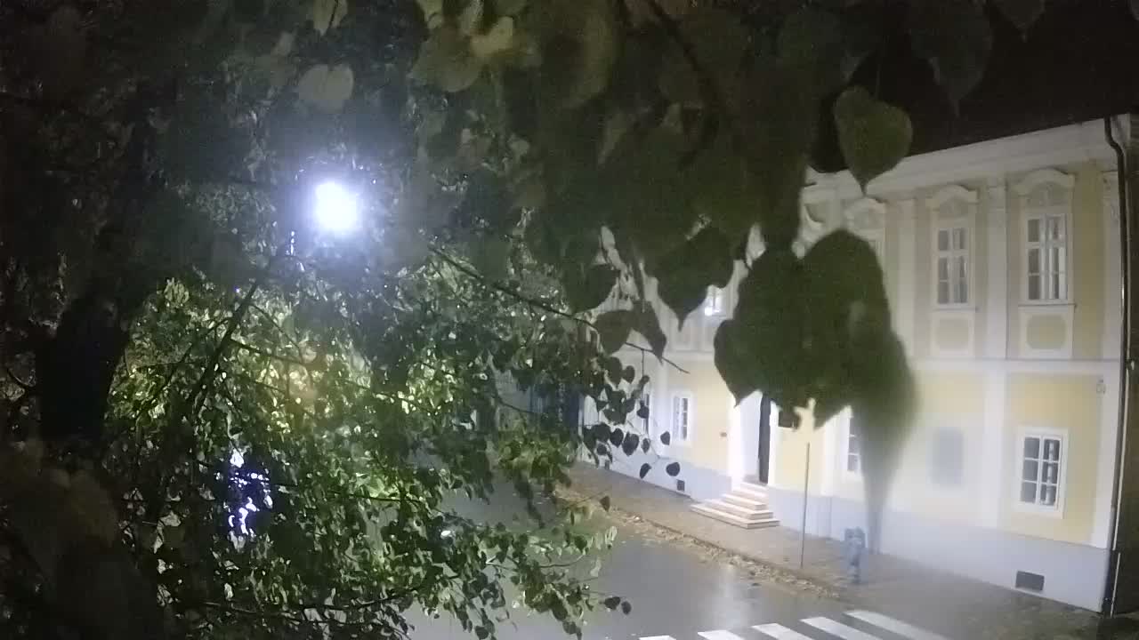 Live webcam parco Petrinja – dopo il terremoto