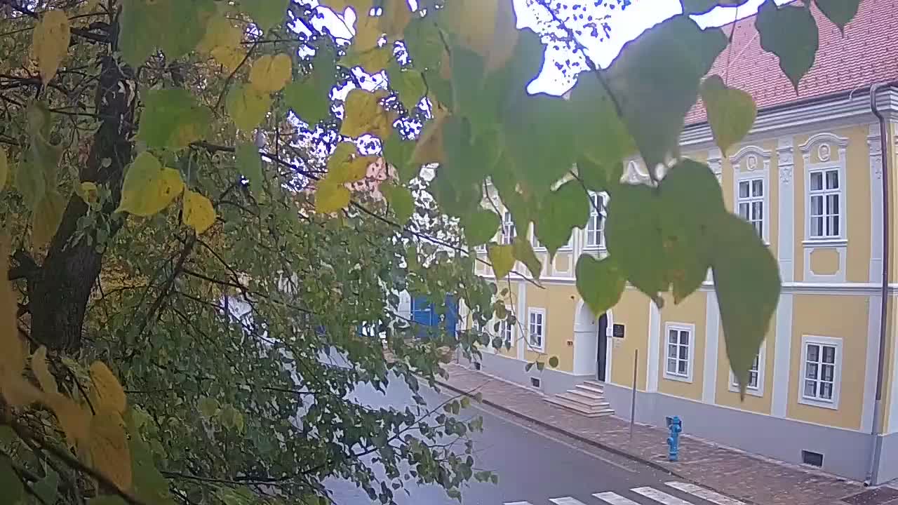Live webcam Petrinja central park – after the earthquake