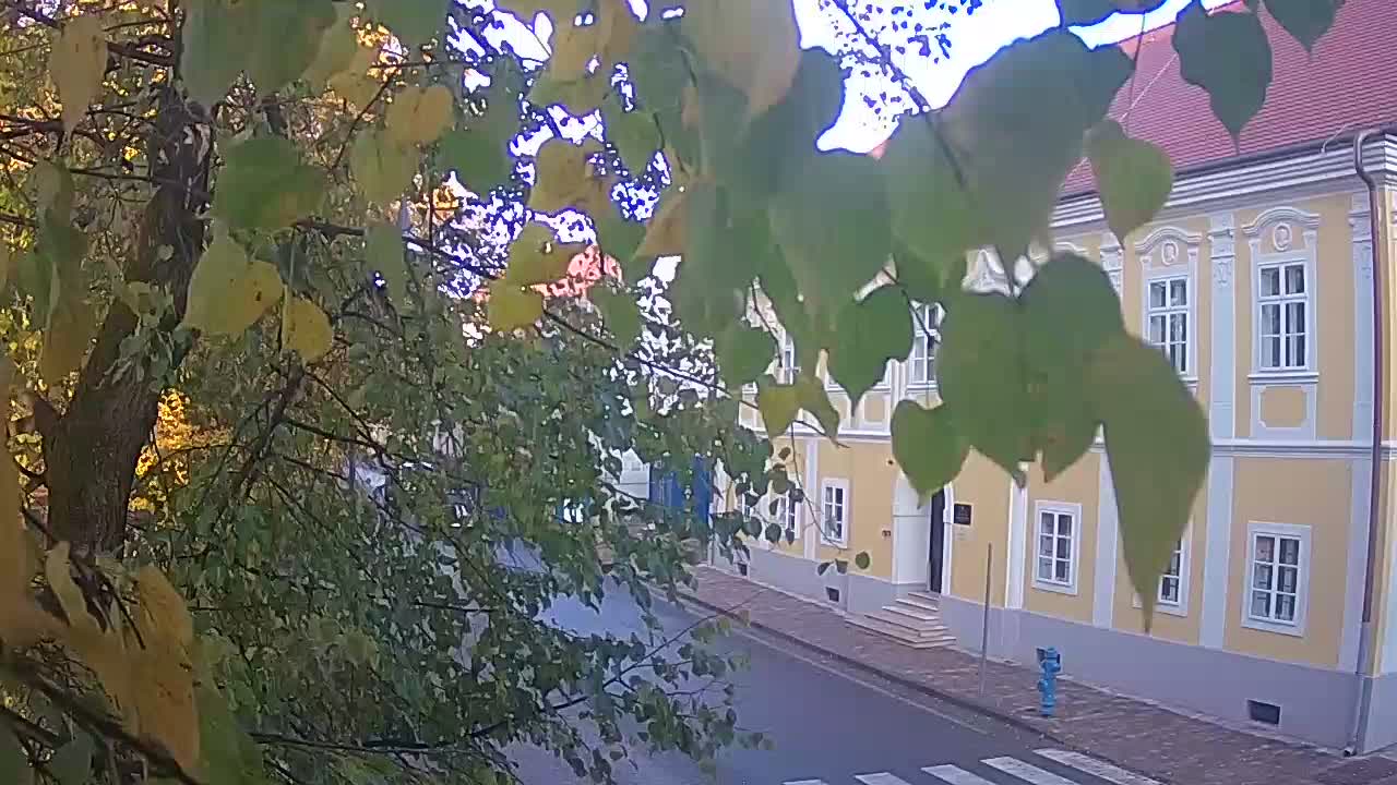Live Webcam Petrinja Park – nach dem Erdbeben