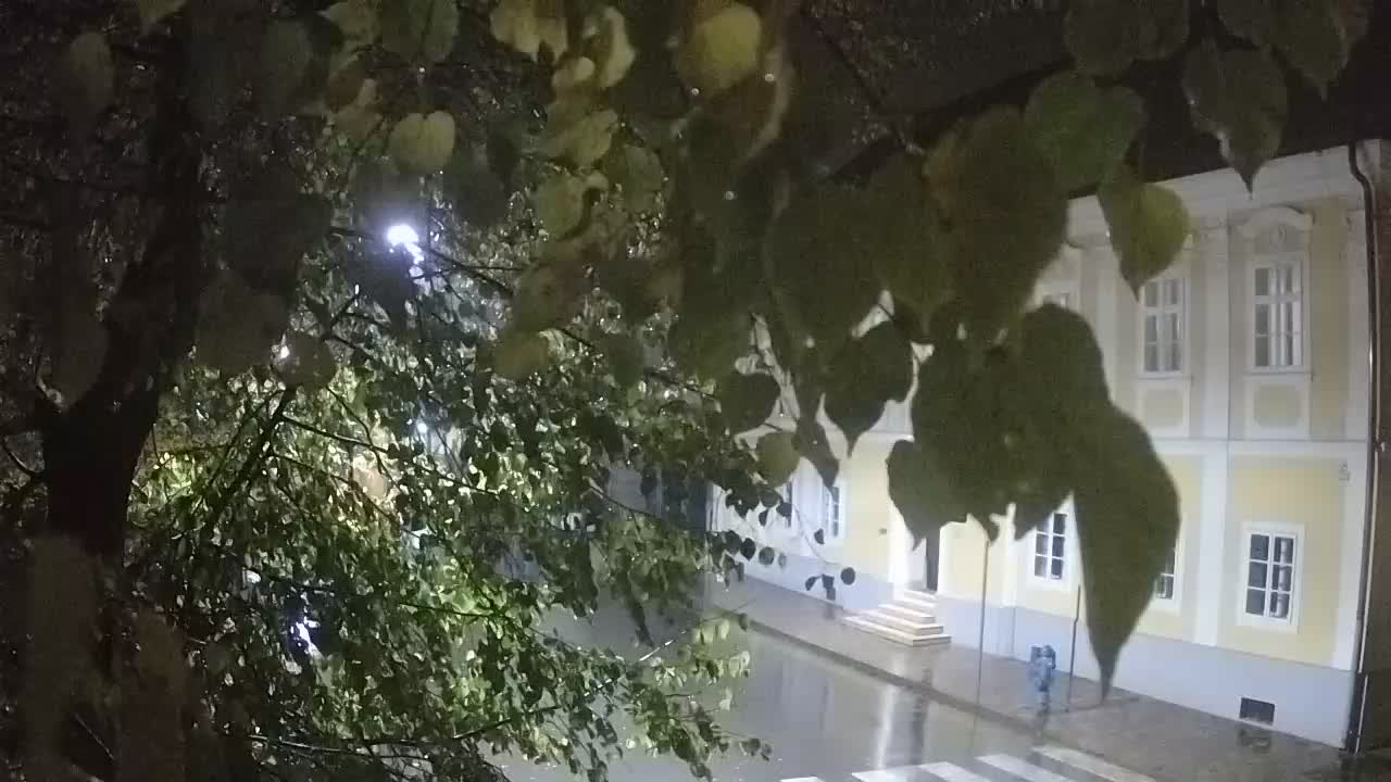 Webcam en direct du parc Petrinja – après le tremblement de terre