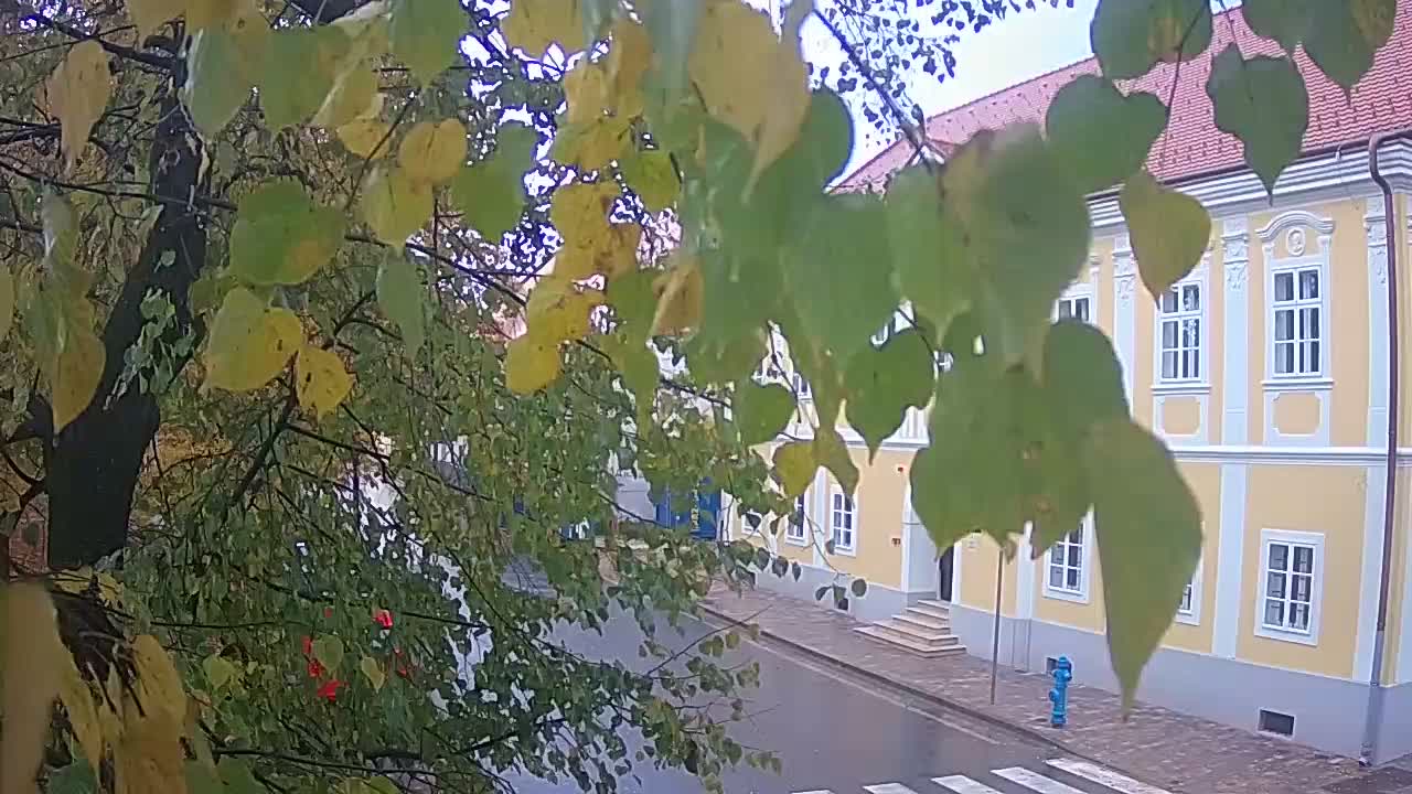 Webcam en vivo parque Petrinja – después del terremoto