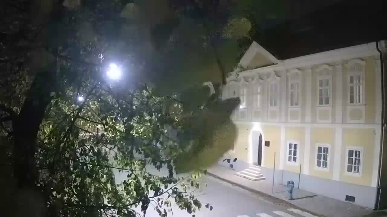 Live webcam parco Petrinja – dopo il terremoto