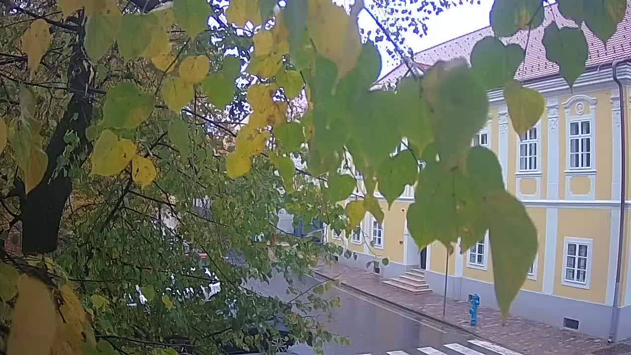 Webcam en vivo parque Petrinja – después del terremoto