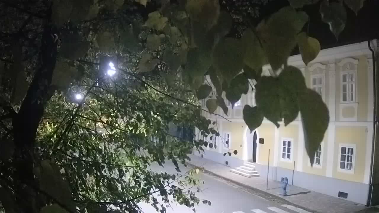 Web kamera uživo Petrinja centralni park – nakon potresa