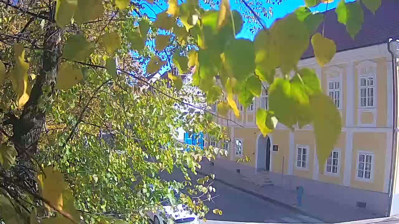 Web kamera uživo Petrinja centralni park – nakon potresa