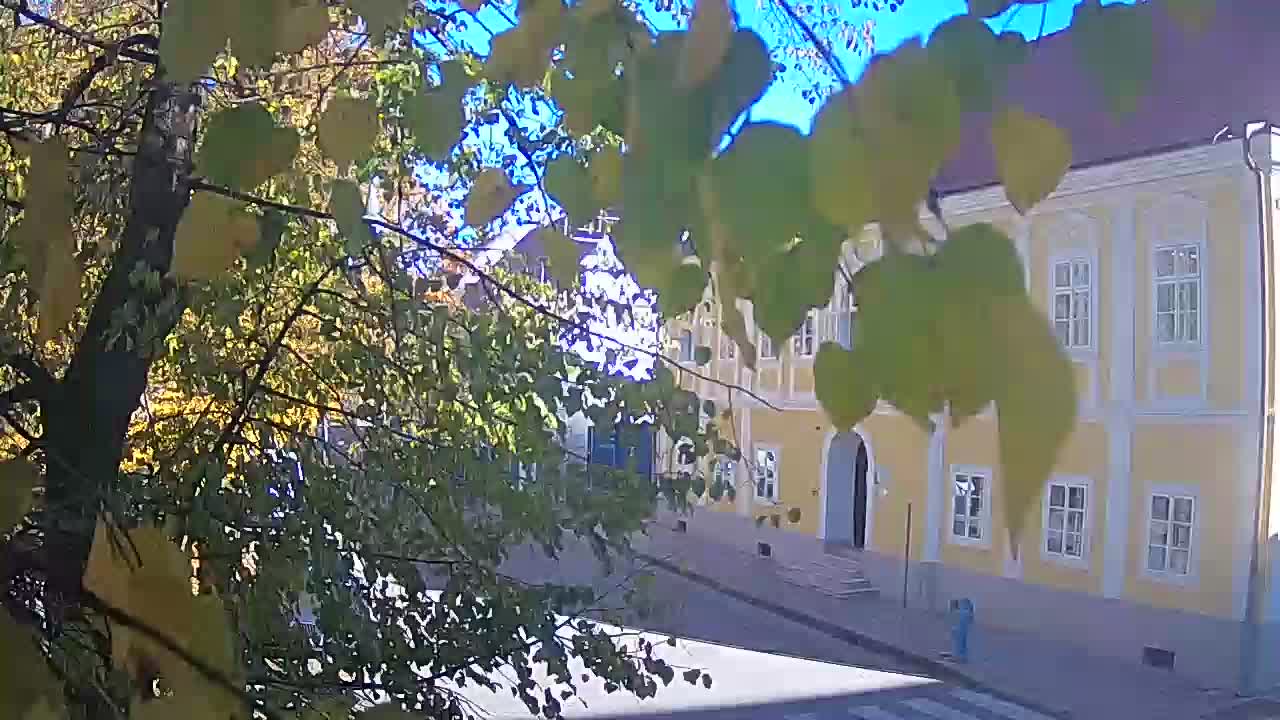 Live Webcam Petrinja Park – nach dem Erdbeben