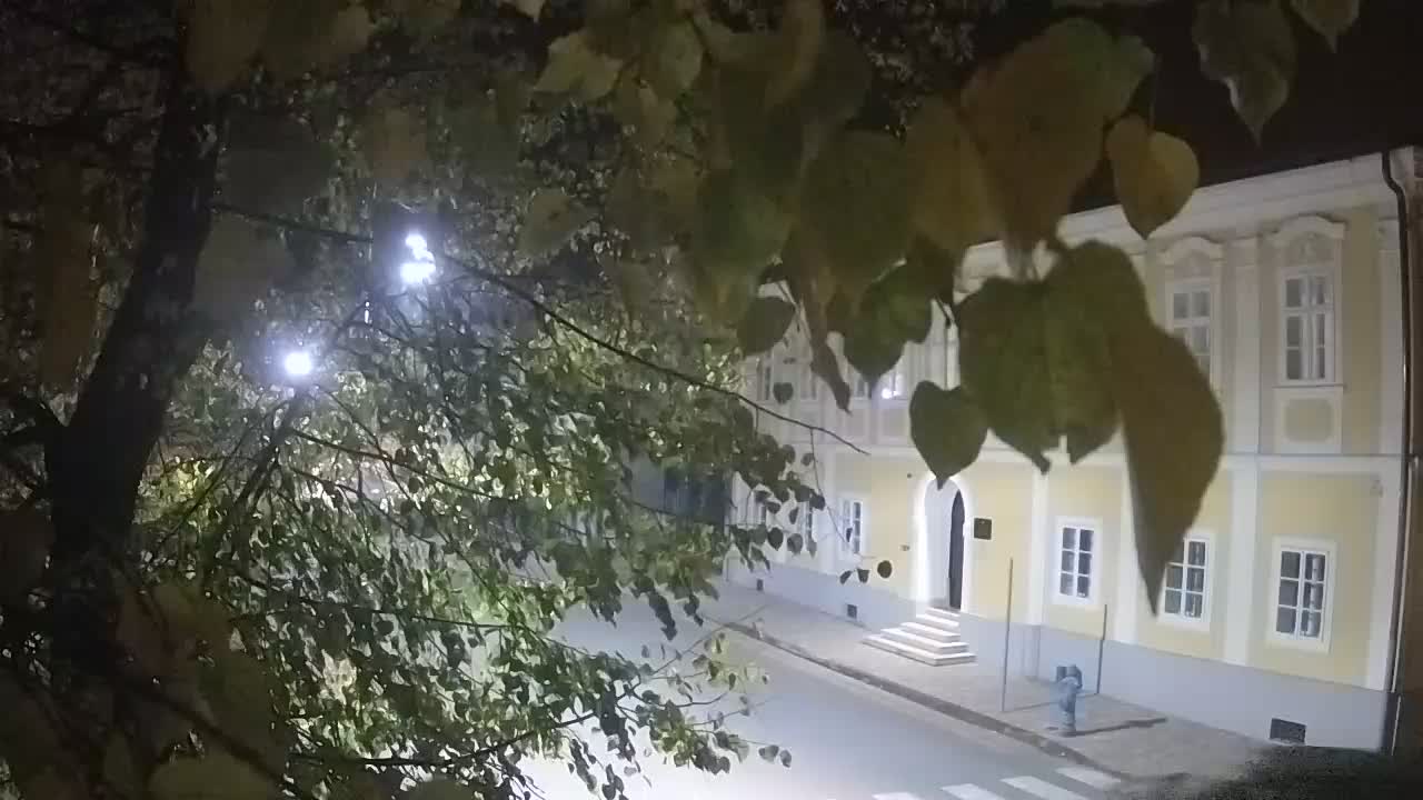 Live webcam Petrinja central park – after the earthquake