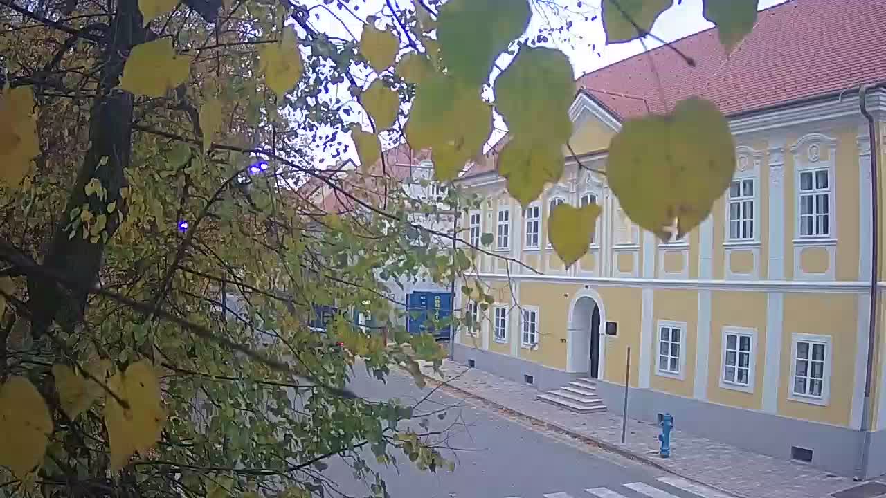 Webcam en direct du parc Petrinja – après le tremblement de terre