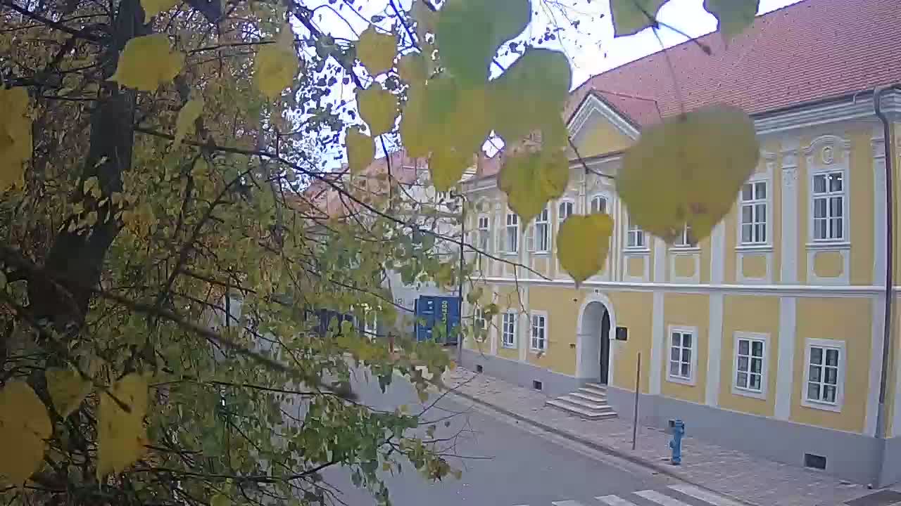 Webcam en direct du parc Petrinja – après le tremblement de terre