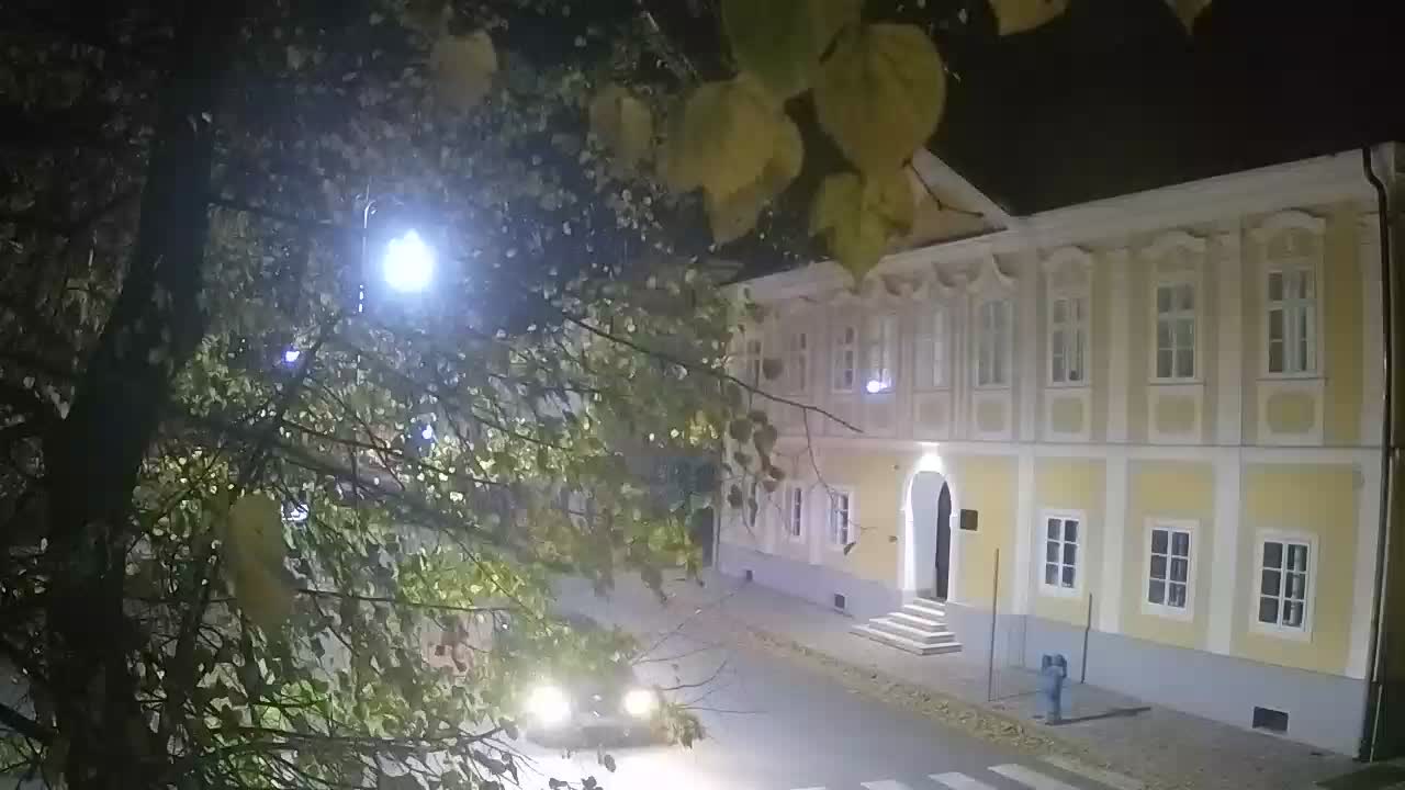 Live webcam Petrinja central park – after the earthquake