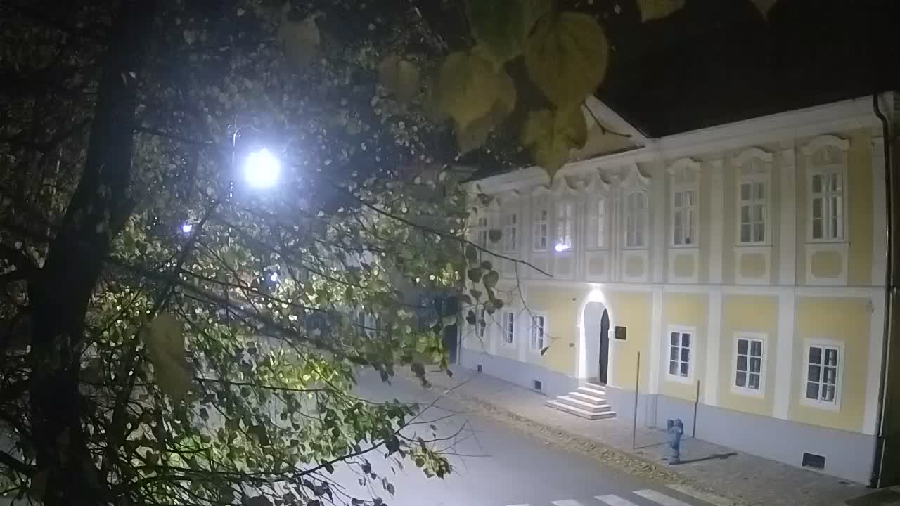 Live webcam Petrinja central park – after the earthquake