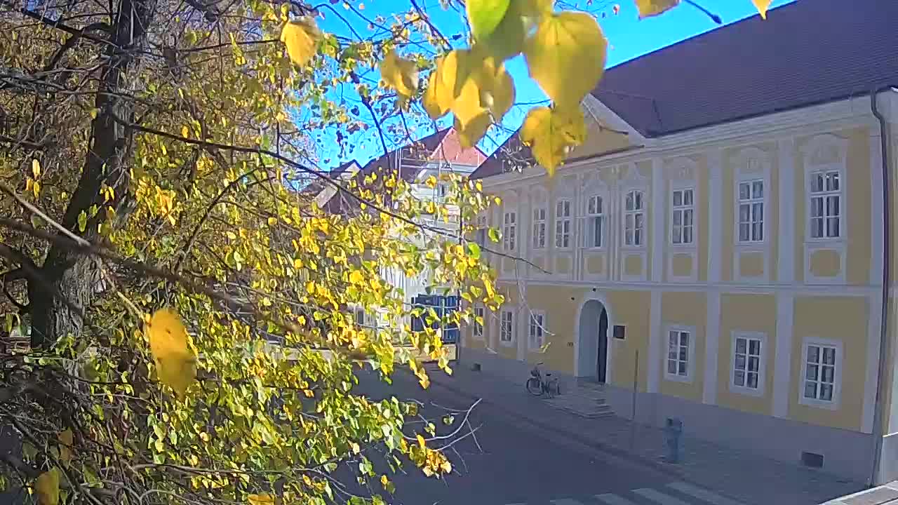 Web kamera uživo Petrinja centralni park – nakon potresa