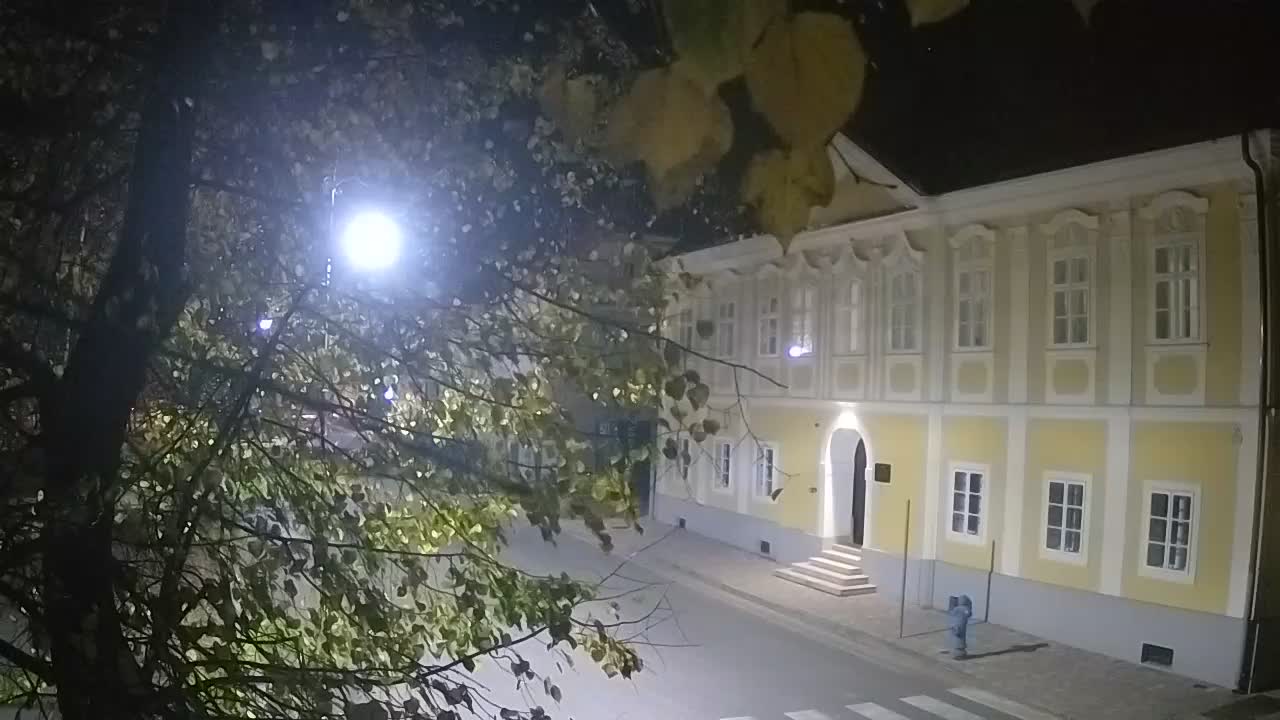 Web kamera uživo Petrinja centralni park – nakon potresa