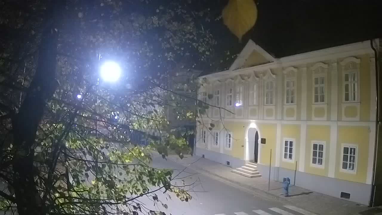 Webcam en direct du parc Petrinja – après le tremblement de terre