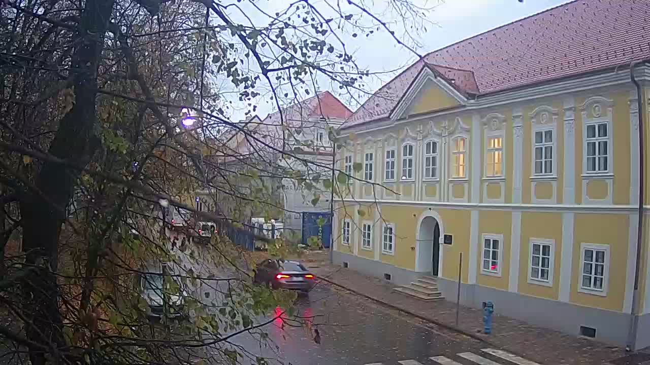 Spletna kamera v živo Petrinja centralni park – po potresu