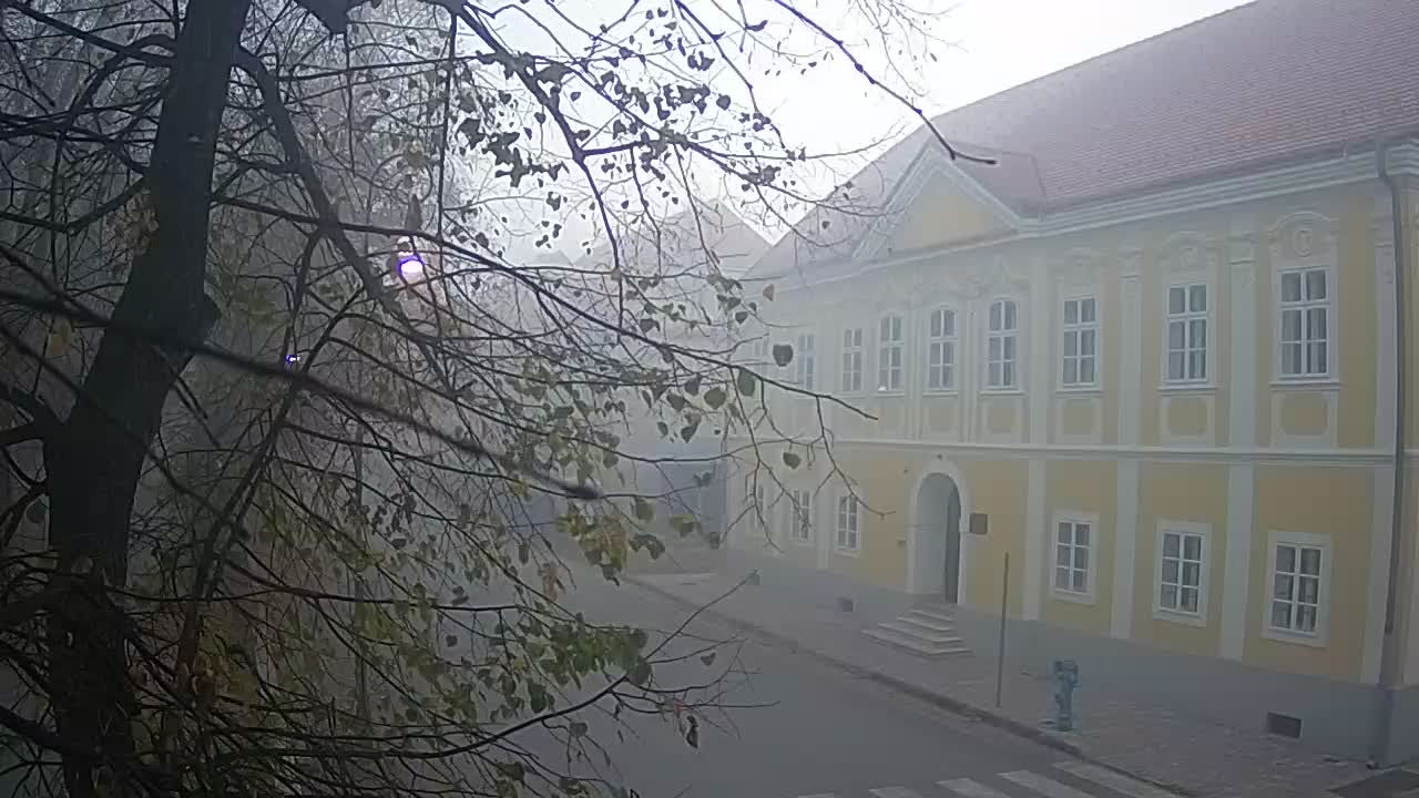 Live Webcam Petrinja Park – nach dem Erdbeben