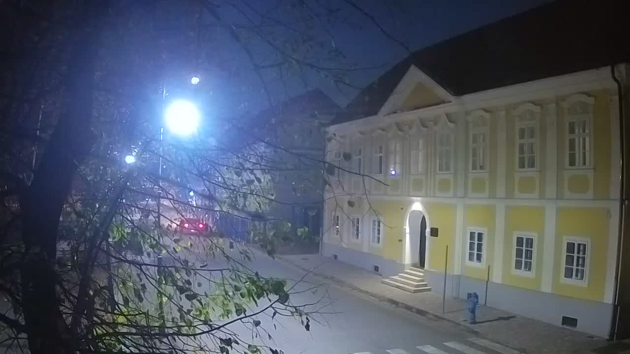 Spletna kamera v živo Petrinja centralni park – po potresu