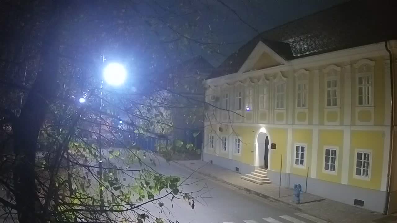 Live webcam parco Petrinja – dopo il terremoto