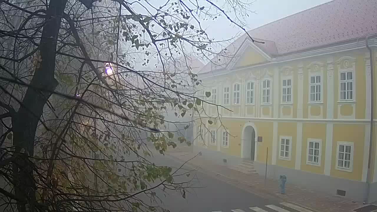 Live webcam parco Petrinja – dopo il terremoto