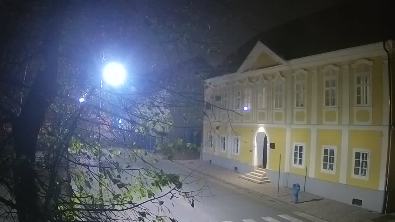 Live webcam parco Petrinja – dopo il terremoto