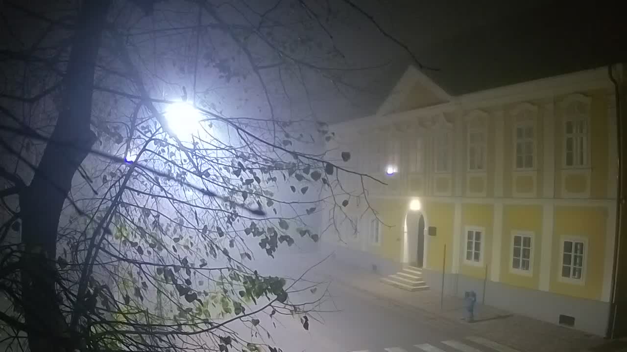 Live webcam parco Petrinja – dopo il terremoto