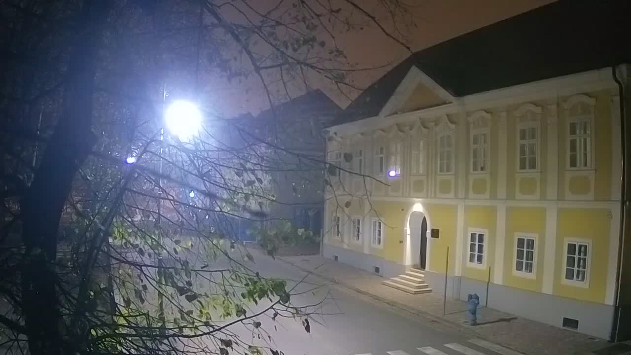 Spletna kamera v živo Petrinja centralni park – po potresu