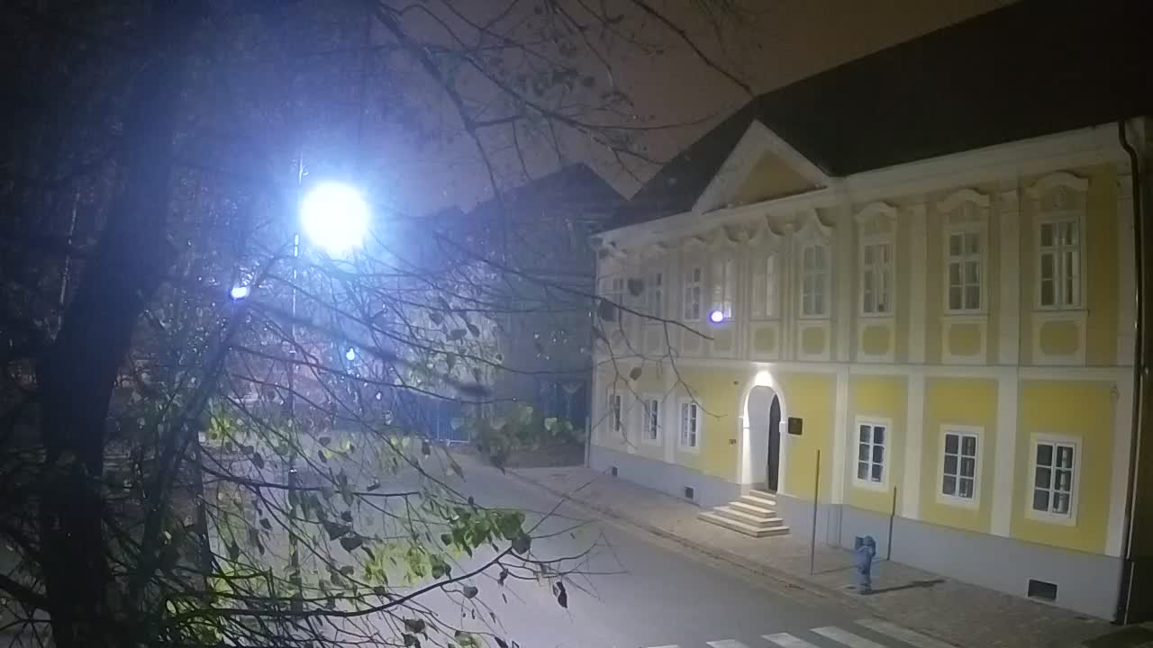 Web kamera uživo Petrinja centralni park – nakon potresa