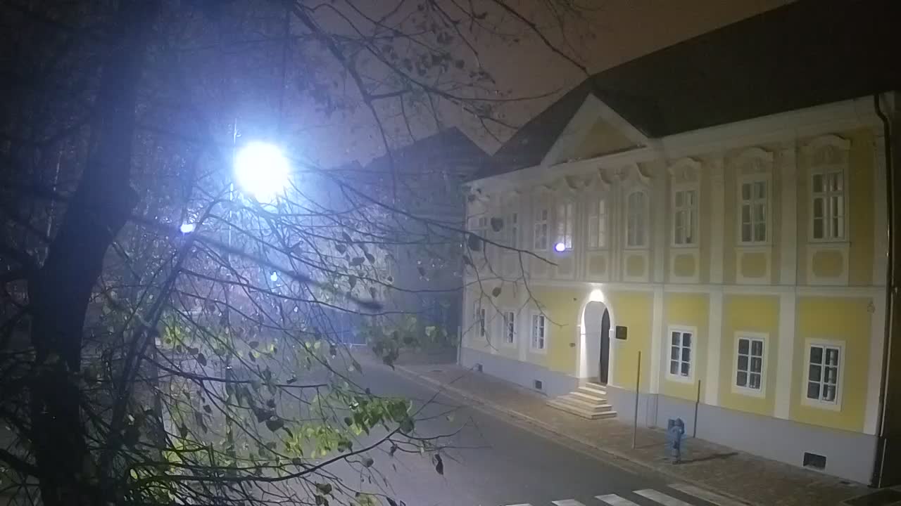 Live Webcam Petrinja Park – nach dem Erdbeben