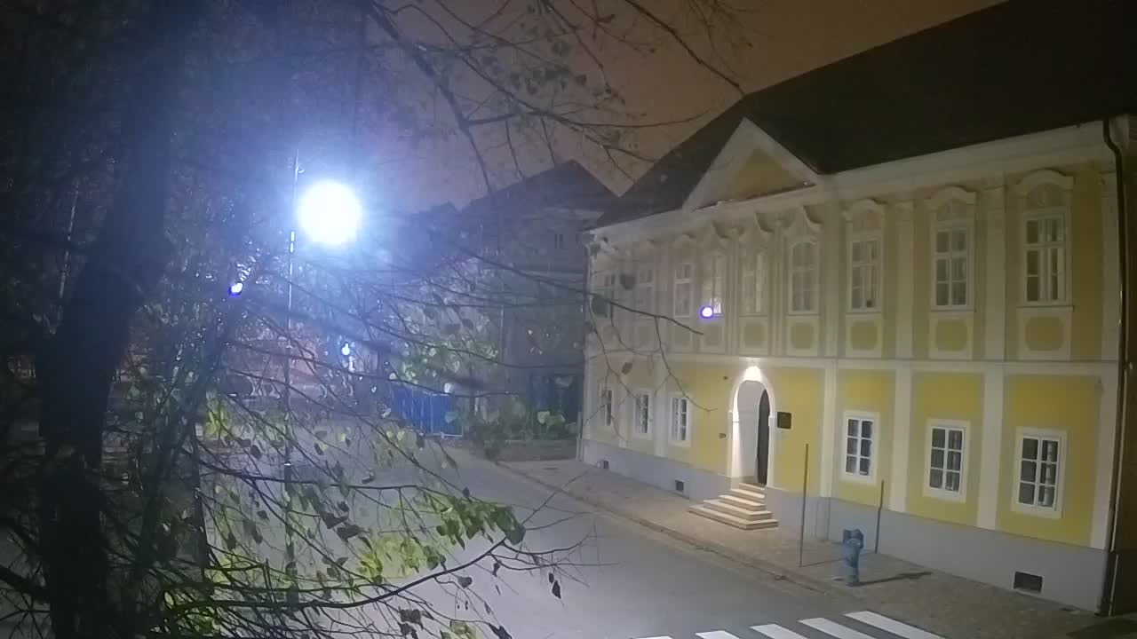 Webcam en direct du parc Petrinja – après le tremblement de terre