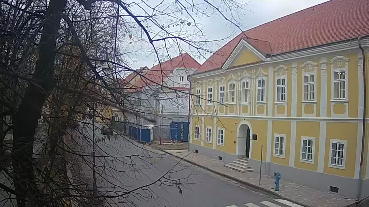 Spletna kamera v živo Petrinja centralni park – po potresu