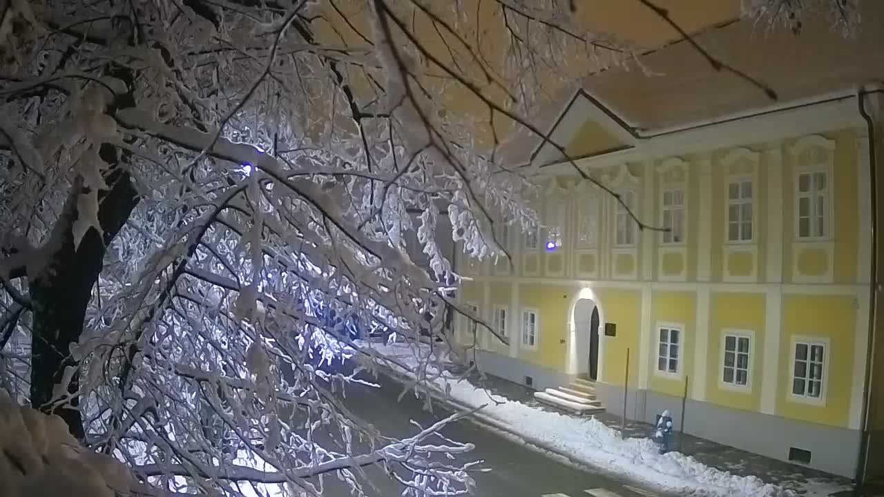 Live webcam parco Petrinja – dopo il terremoto